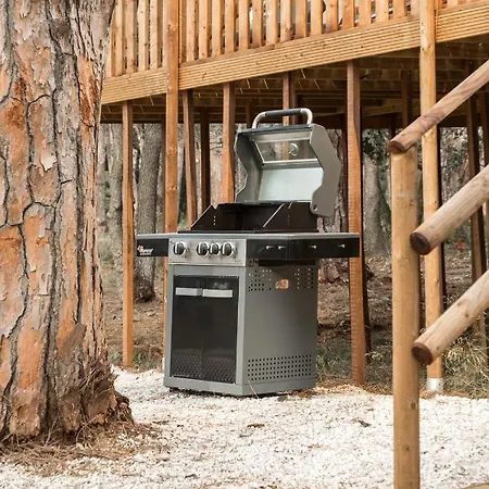 Vawidi Roma Glamping *