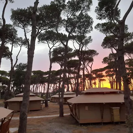 Luxury tent Vawidi Roma *